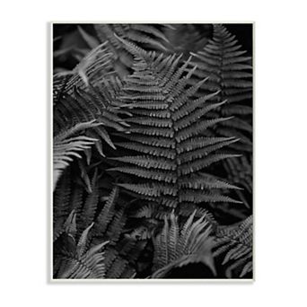 Stupell Home Decor Ferns in the Forest Black and White Photograph Wall Art