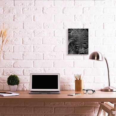 Stupell Home Decor Ferns in the Forest Black and White Photograph Wall Art