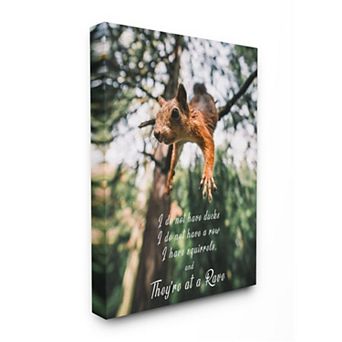 Stupell Home Decor No Ducks in Row, Only Squirrels Canvas Wall Art