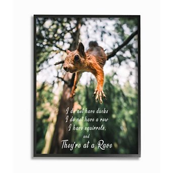 Stupell Home Decor No Ducks in Row, Only Squirrels Wall Art