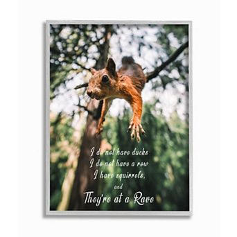 Stupell Home Decor No Ducks in Row, Only Squirrels Wall Art