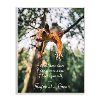 Stupell Home Decor No Ducks in Row, Only Squirrels Wall Art