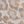 Taupe Leopard