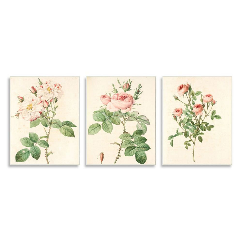 Stupell Home Decor Vintage Rose Plaque Wall Art 3-piece Set