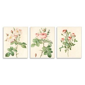 Stupell Home Decor Vintage Rose Plaque Wall Art 3 pc Set