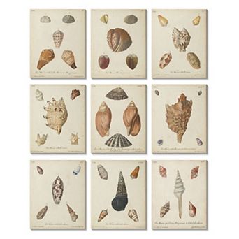 Stupell Home Decor Vintage Study of Various Sea Shells Canvas Wall Art 9 pc Set