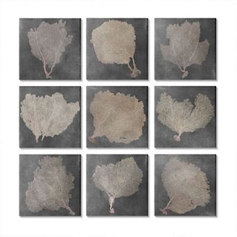 Stupell Home Decor Nautical Sea Fans Canvas Wall Art 9 pc Set