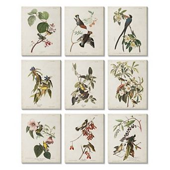 Stupell Home Decor Various Warbler Birds Canvas Wall Art 9 pc Set