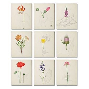 Stupell Home Decor Natural Botanicals Canvas Wall Art 9 pc Set