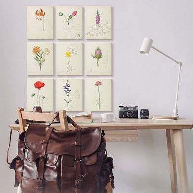 Stupell Home Decor Natural Botanicals Canvas Wall Art 9-piece Set