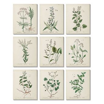 Stupell Home Decor Antique Floral Herbs Canvas Wall Art 9 pc Set