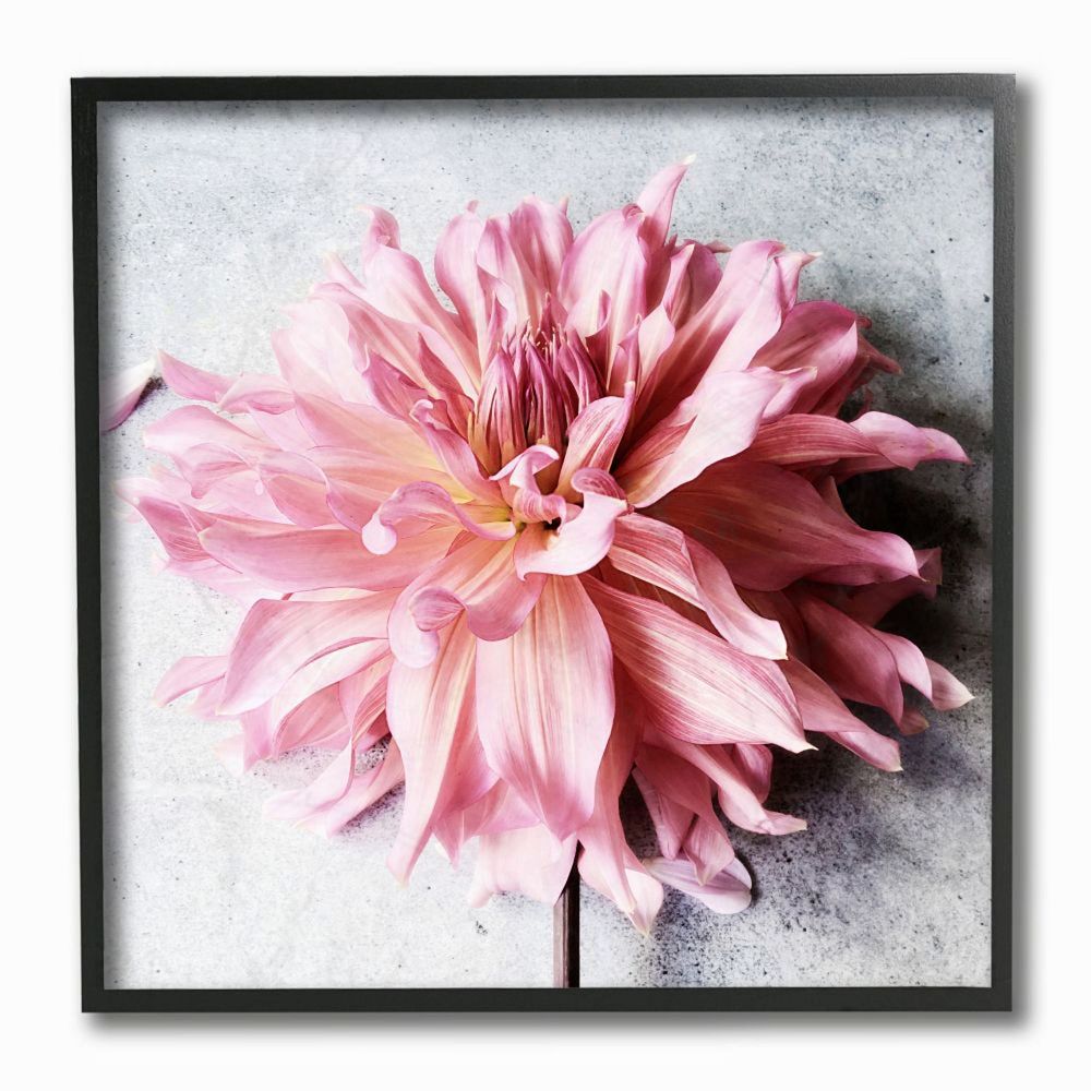 Stupell Home Decor Pink Spring Floral Framed Wall Art