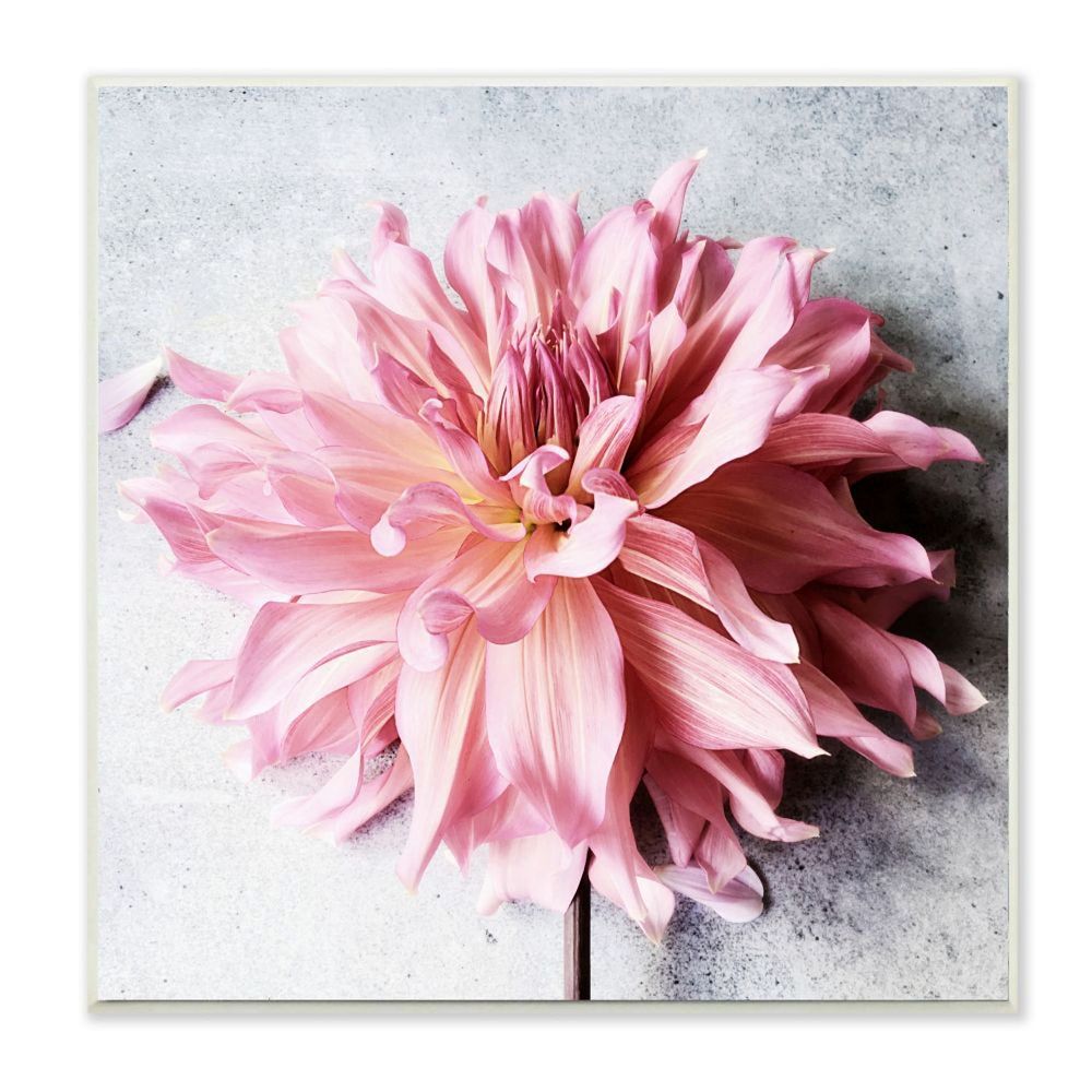 Stupell Home Decor Pink Spring Floral Plaque Wall Art