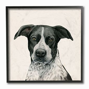 Stupell Home Decor Dalmatian Mix Dog Portrait Framed Wall Art