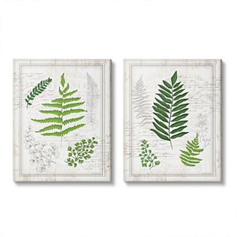 Stupell Home Decor Antique Fern Canvas Wall Art 2 pc Set