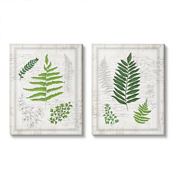 Stupell Home Decor Antique Fern Canvas Wall Art 2 pc Set