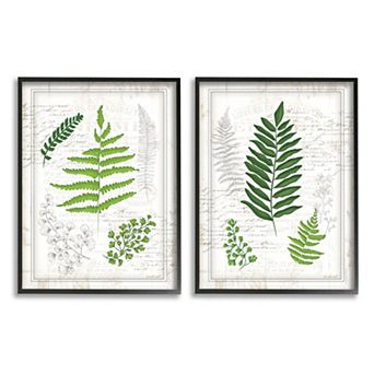 Stupell Home Decor Antique Fern Black Framed Wall Art 2 pc Set