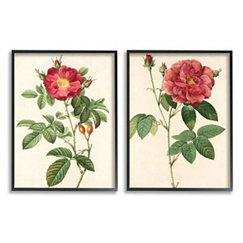 Stupell Home Decor Vintage Flowers Black Framed Wall Art 2 pc Set