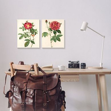 Stupell Home Decor Vintage Flowers Black Framed Wall Art 2-piece Set