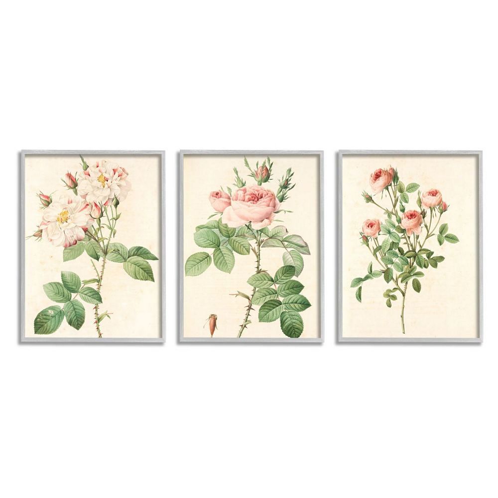 Stupell Home Decor Vintage Rose Gray Framed Wall Art 3-piece Set