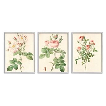 Stupell Home Decor Vintage Rose Gray Framed Wall Art 3 pc Set