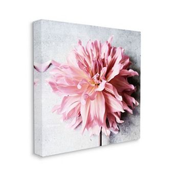 Stupell Home Decor Pink Spring Floral Canvas Wall Art
