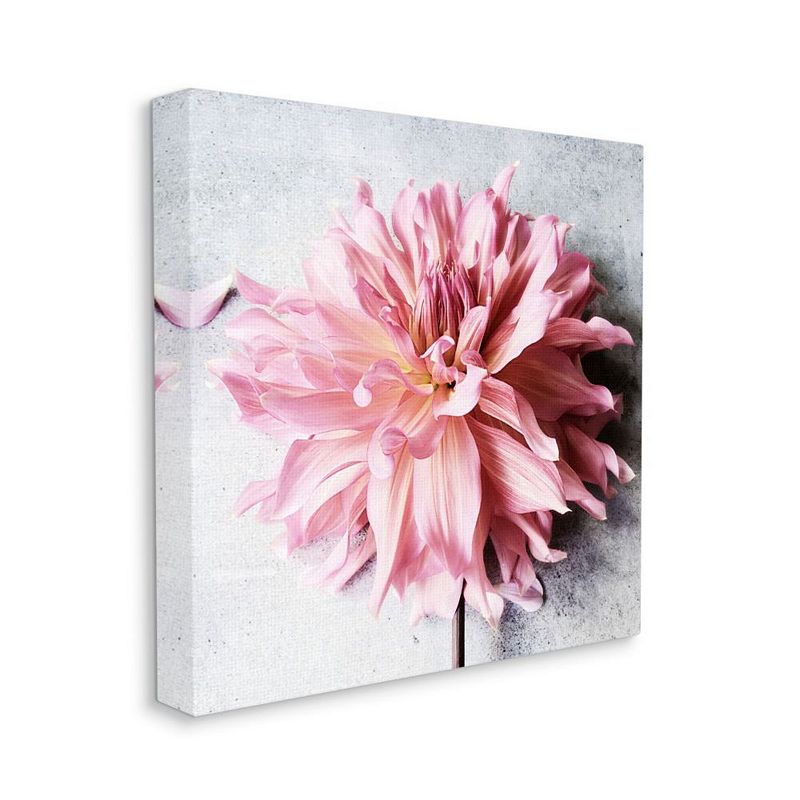 Stupell Home Decor Pink Spring Floral Canvas Wall Art, White, 17X17
