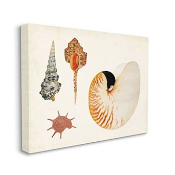 Stupell Home Decor Vintage Nautilus & Aquatic Spiral Shell Canvas Wall Art