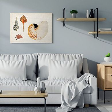 Stupell Home Decor Vintage Nautilus & Aquatic Spiral Shell Canvas Wall Art