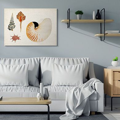 Stupell Home Decor Vintage Nautilus & Aquatic Spiral Shell Canvas Wall Art