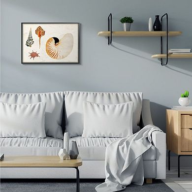 Stupell Home Decor Vintage Nautilus & Aquatic Spiral Shell Wall Art