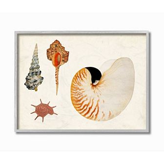 Stupell Home Decor Vintage Nautilus & Aquatic Spiral Shell Wall Art