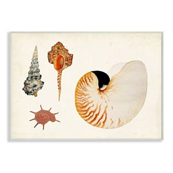 Stupell Home Decor Vintage Nautilus & Aquatic Spiral Shell Wall Art