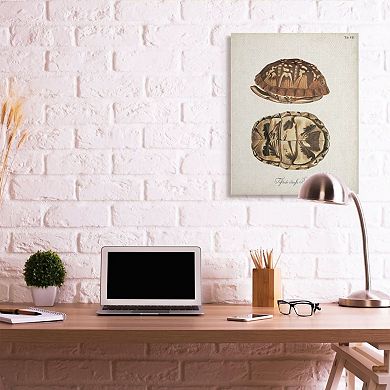 Stupell Home Decor Box Turtle Shell Canvas Wall Art
