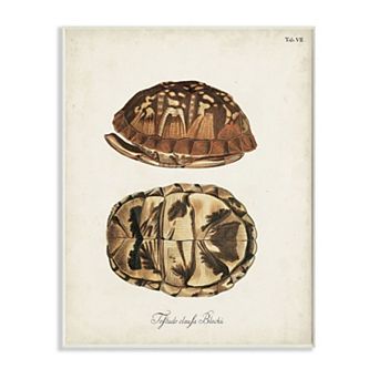 Stupell Home Decor Box Turtle Shell Plaque Wall Art