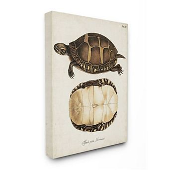 Stupell Home Decor Painted Turtle Shell Canvas Wall Art