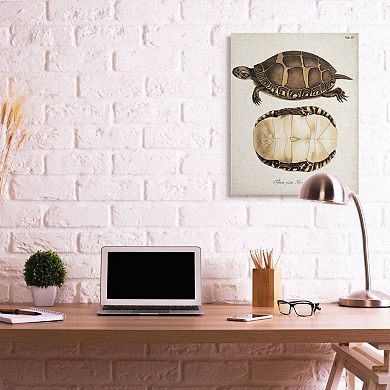 Stupell Home Decor Painted Turtle Shell Canvas Wall Art
