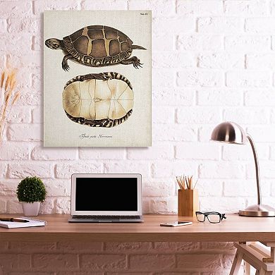 Stupell Home Decor Painted Turtle Shell Canvas Wall Art