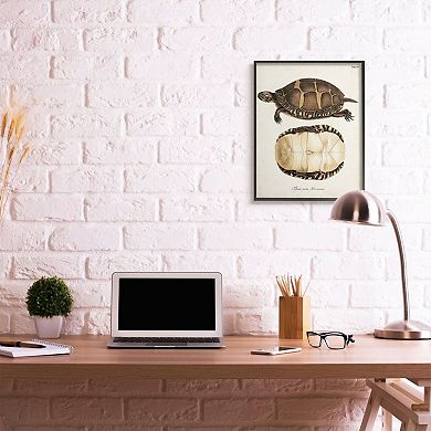 Stupell Home Decor Painted Turtle Shell Wall Art