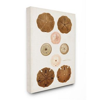 Stupell Home Decor Vintage Marine Study Canvas Wall Art