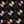 Black Multi