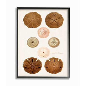 Stupell Home Decor Vintage Marine Study Wall Art