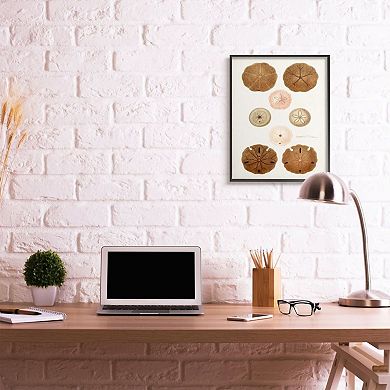 Stupell Home Decor Vintage Marine Study Wall Art