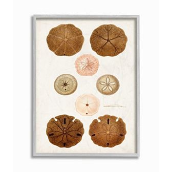 Stupell Home Decor Vintage Marine Study Wall Art
