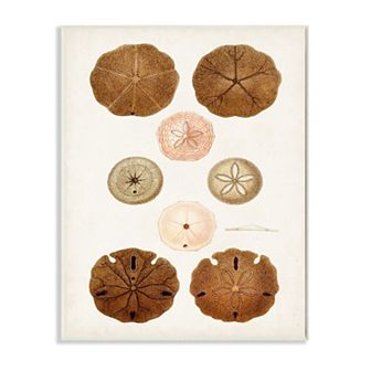 Stupell Home Decor Vintage Marine Study Wall Art
