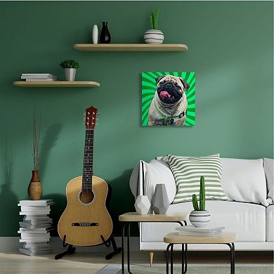 Stupell Home Decor Pug Portrait Canvas Wall Art
