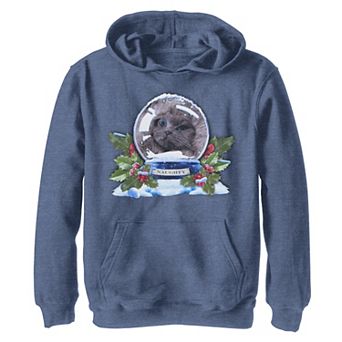 Boys 8-20 Naughty Cat Snowglobe Christmas Graphic Fleece Hoodie