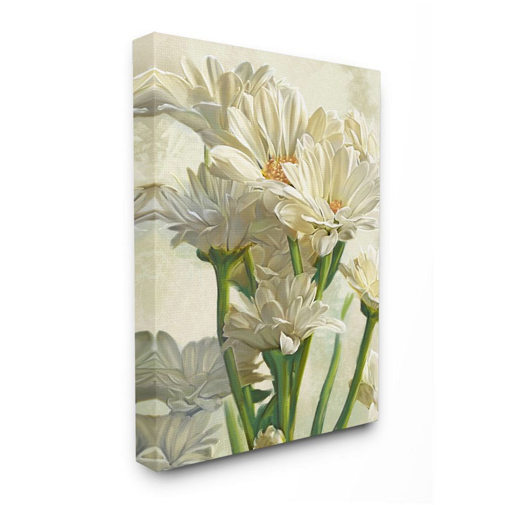 Stupell Home Decor Study of White Daisy Petals Spring Florals Canvas ...