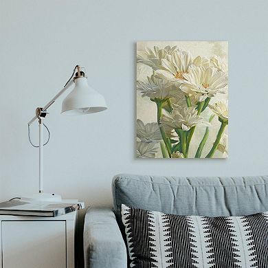 Stupell Home Decor Study of White Daisy Petals Spring Florals Canvas Wall Art