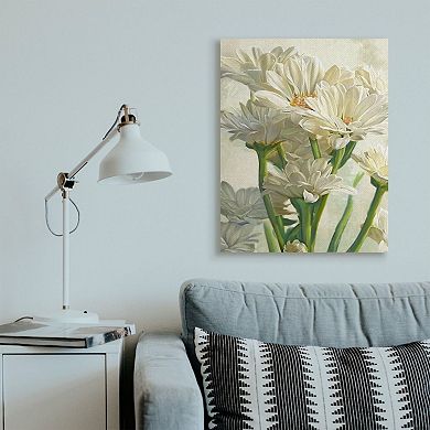 Stupell Home Decor Study of White Daisy Petals Spring Florals Canvas Wall Art